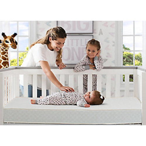 BeautySleep Spring Grove 2-Stage Crib or Toddler Mattress