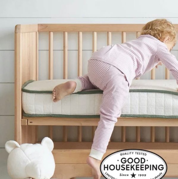Best Affordable & Organic Crib Mattress | Avocado Green Mattress
