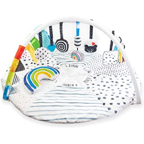 Sassy Stages STEM Developmental Play Gym, Sensory Tummy Time Activity Play Mat w/Built-in Instructions, Ultra Plush & Machine Washable Playmat for Babies & Toddlers, 0+ Months
