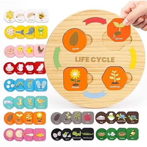 Life Cycle Toys for Kids, 12 Themes Montessori Preschool Science Center Materials, Wooden Learning & Educational Toys for Toddlers, Learning Game Travel Easter Toys for Boys Girls Age 3-6
