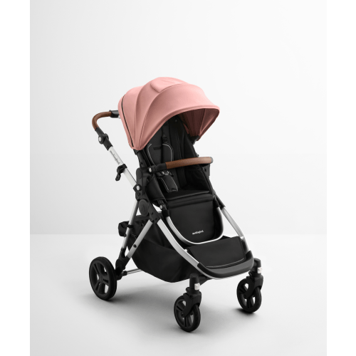 Single-to-Double Stroller 3.0