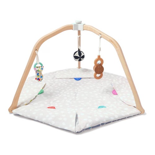 The Play Gym