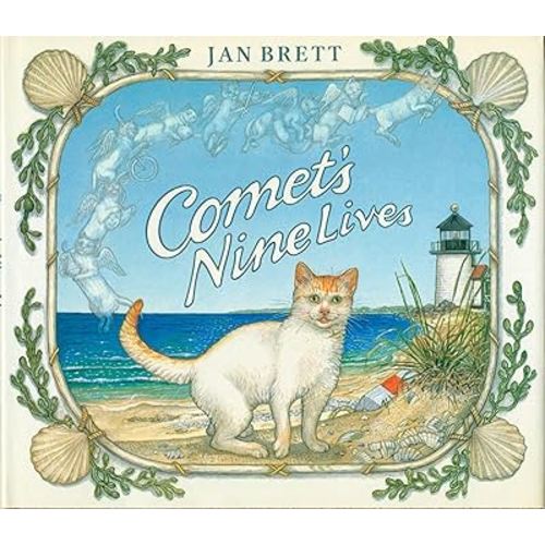 Comet's Nine Lives