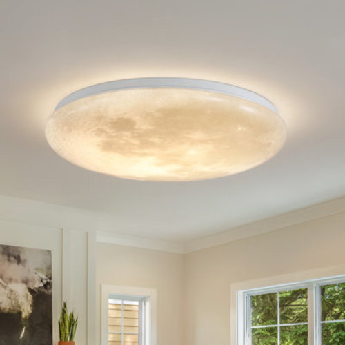 Modern Moon Surface LED Ceiling Light - Dimmable | Wayfair