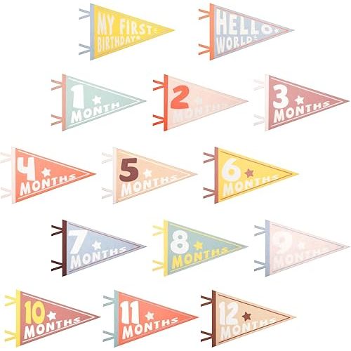 14pcs Baby Milestone Flags, Felt Monthly Milestone Pennant Flag Colorful Baby Milestone Signs for Newborn Baby Shower 1st Birthday Party Decorations (Pattern 1)