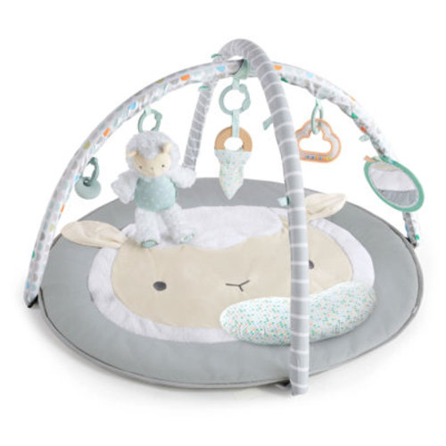 Baby Einstein 4-in-1 Kickin’ Tunes Jellyfish Jamboree Music & Language Discovery Gym | Wayfair