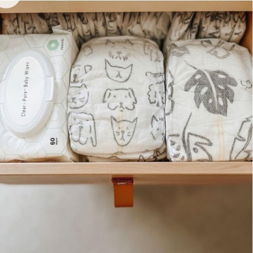 Baby’s Diaper Fund