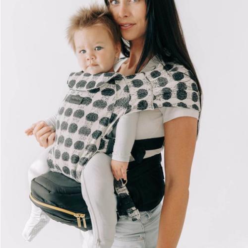 2-in-1 Convertible Carrier