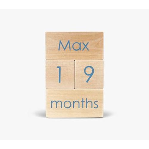 Modern Blocks Milestone Block Set, Ink Blue