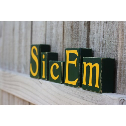 CUSTOM COLLEGE BLOCKS - Sic Em - Baylor Bears - University Texas - Home Decor - Personalized - School Spirit - Grad Alumni