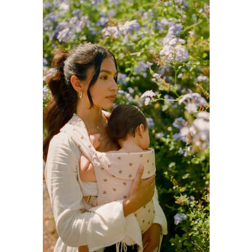 Flores Aerial Carrier – WildBird