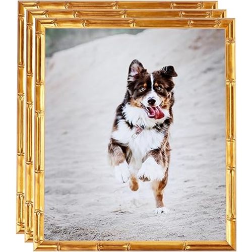 ArtToFrames 16x20 Inch Gold Picture Frame, 3 - Pack, This 0.75 inch Custom Wood Poster Frame is Gold Bamboo, Comes with Economy Acrylic (Frame_Pack_3_D8576-16x20)