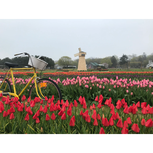 Waterdrinker Family Farm & Garden | Manorville | water-drinker.com