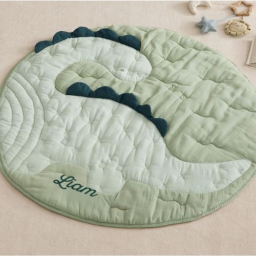 Picture-Perfect Dinosaur Playmat