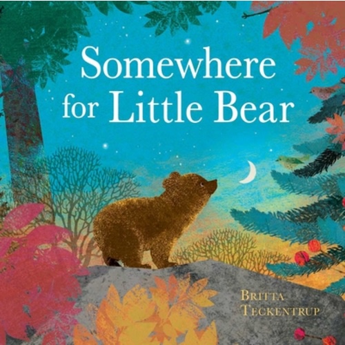 Somewhere for Little Bear (Hardcover) | Malaprop's Bookstore/Cafe