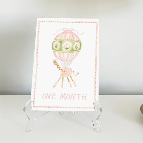 Baby Milestone Cards: Menagerie Pink Set