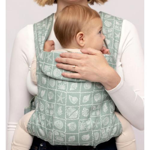 Coastal Aerial Carrier – WildBird