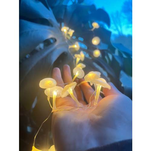 LED Mushroom Fairy String Lights | Night Lights | Nature Decor | Mushroom Decor