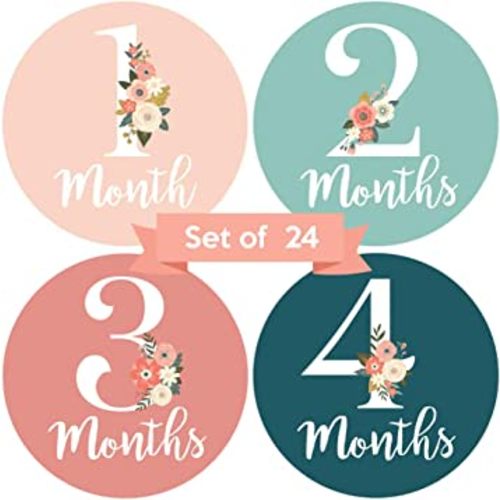 Baby Monthly Stickers - Set of 24 - Floral Baby Girl Milestone Stickers - Perfect for Newborn Girls - Month to Month Milestones - Pink & Teal Floral Design (Set of 24)