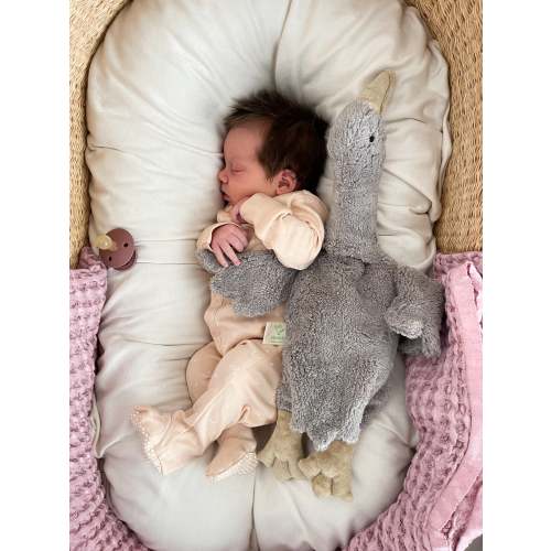 Senger Naturwelt Organic Cuddly Goose | Toys | Weston Table
