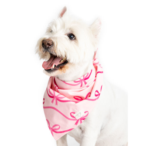 Paris Hilton x Monica + Andy Organic Cotton Pet Bandana