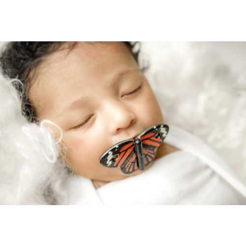 Butterfly Pacifier