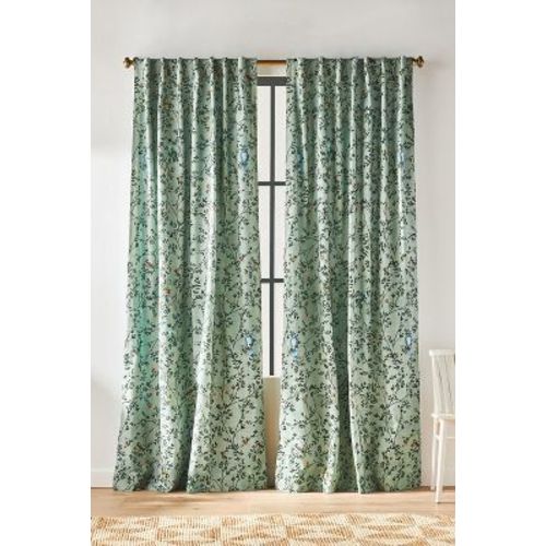 Priyanka Curtain
