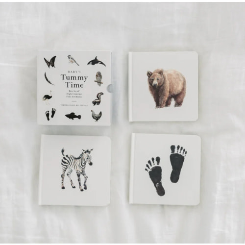 Gathre Baby's Tummy Time Book Box Set