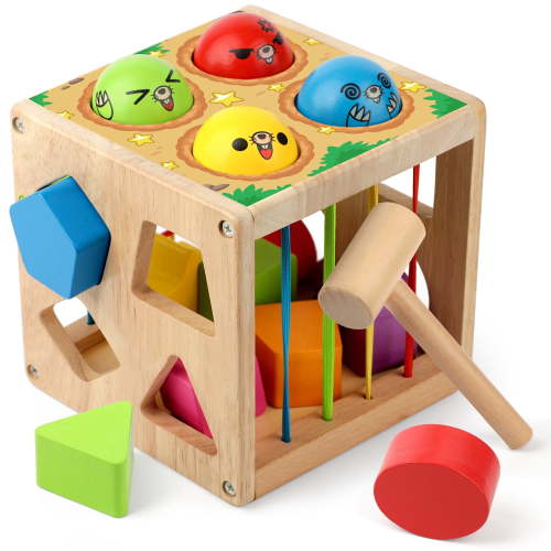 Coogam Wooden Montessori Toys for Toddlers, Shape Sorting Cube Fine Motor Skills Game for 1 2 3 Year Old 18 Month Baby Boys Girls
