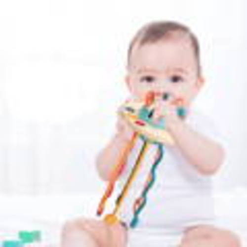 Buy Montessori Silicone Pulling Toy Online I Montessori Generation