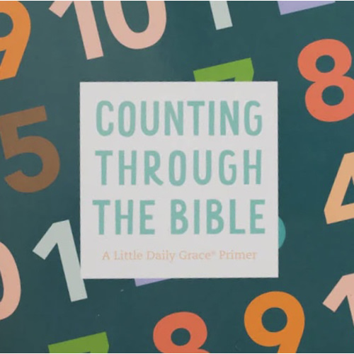 Counting Through the Bible Board Book – The Daily Grace Co.