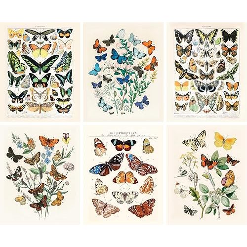 ARTIVO Vintage Butterfly Art Prints 6 Set 8x10, Butterflies Vintage Poster Prints, Cottagecore Aesthetic Decor, Vintage Wall Collage, Wall Art Posters, Vintage Nature Posters