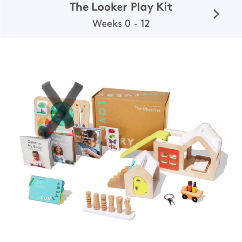The Observer Play Kit | Toys for 3-Year Olds | Lovevery