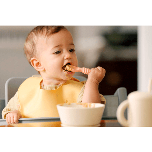 The Food Before 1 Course Pack | Lovevery Course Packs