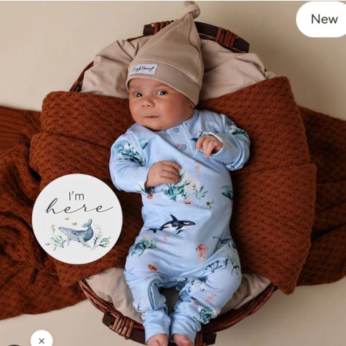 Blue Ocean Organic Baby Growsuit | Snuggle Hunny