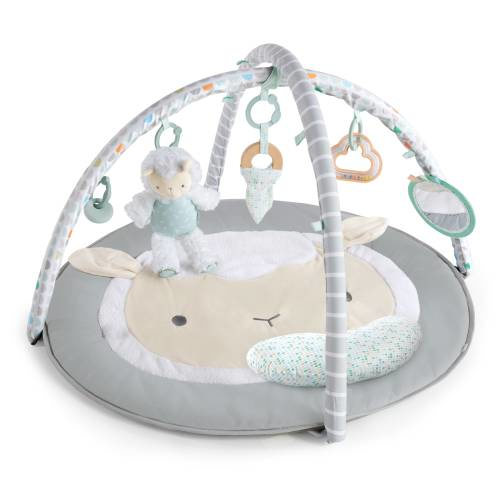 Free Shipping! Ingenuity Sheppy‚Äôs Spot Ultra Plush Baby Activity Gym & Tummy Time Mat, Newborn and up - Corrie