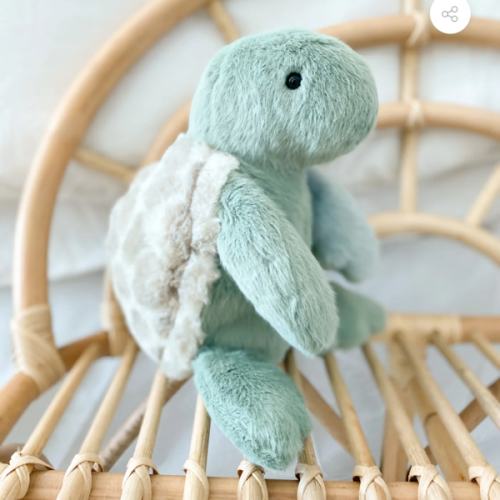 Taylor Cuddle Turtle Plush Toy