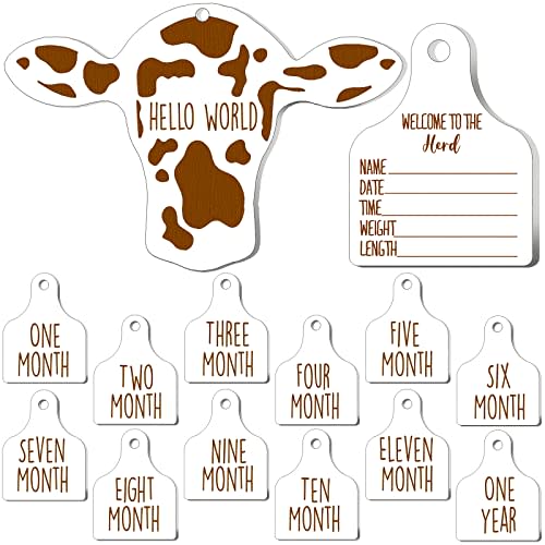 Maitys 14 Pieces Cow Baby Monthly Milestone Cards Rustic Wooden Ornament Herd Signs Cattle Newborn Photography Props to Record Your Baby's Growth, Gift for Pregnancy and Baby Shower (White)