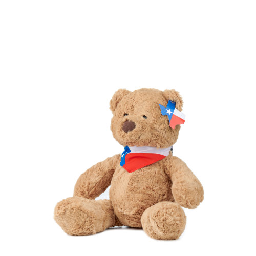 Texas Products Texas Teddy Bear Stuffed Animal