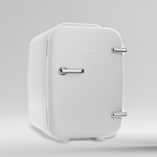 CAYNEL Mini Fridge Portable Travel Thermoelectric 4 Liter Cooler and Warmer for Skincare & Reviews | Wayfair
