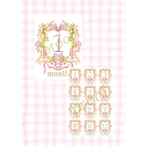 Paper Watercolor Milestone Cards | Crest | Grandmillennial | Classic | Gift | New Mom | Baby Girl Milestone | Baby Shower | Baby Month Cards