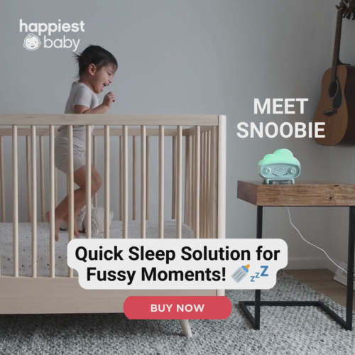 SNOObie® Smart Soother – Simple Steps Market