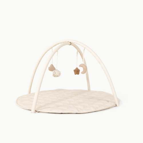 Baby Activity Gym