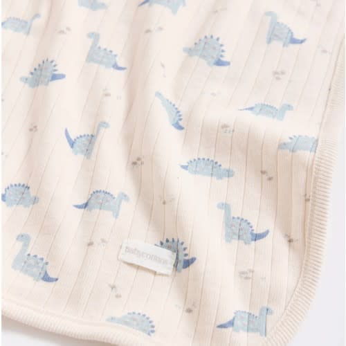 Dinomyte Receiving Blanket | babycottons
