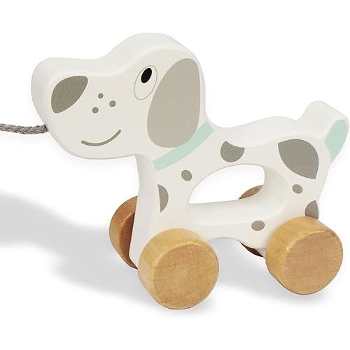 Baby Toys Car,Wooden Pull Along Toddler Toy, Developmental Toy for 1 Year Old Girl Boy Birthday Gift (Dog)