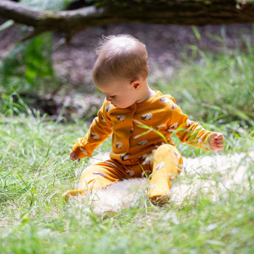 Counting Sheep Organic Babygrow