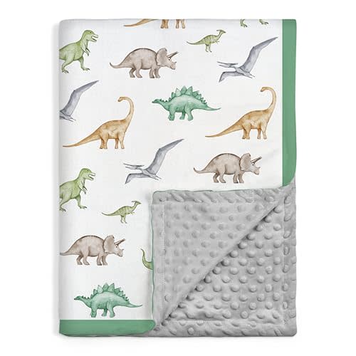SANDJEST Dinosaurs Blanket for Boys - 30 x 40 Minky Kid Blankets Gift for Kids on Christmas Birthday