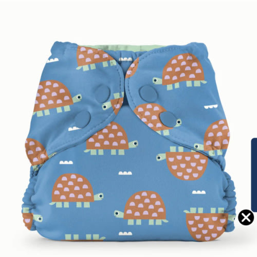 Outer–Turtles / One