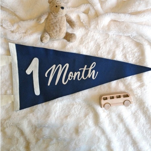 Soft Felt Baby MONTHLY MILESTONE Pennant, Milestone Marker Photo Prop Kit | Newborn-21 Months | 9x18 inch Handmade Flag