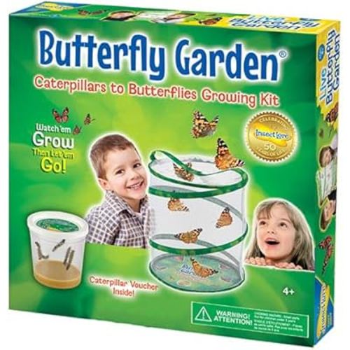 Painted Lady Butterfly Kit - Habitat, STEM Journal, & Voucher for Chrysalis Log & Caterpillars - Grow Your Own Butterfly Kit